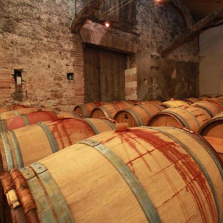Chateau De Mayragues Castelnau-de-Montmiral المظهر الخارجي الصورة