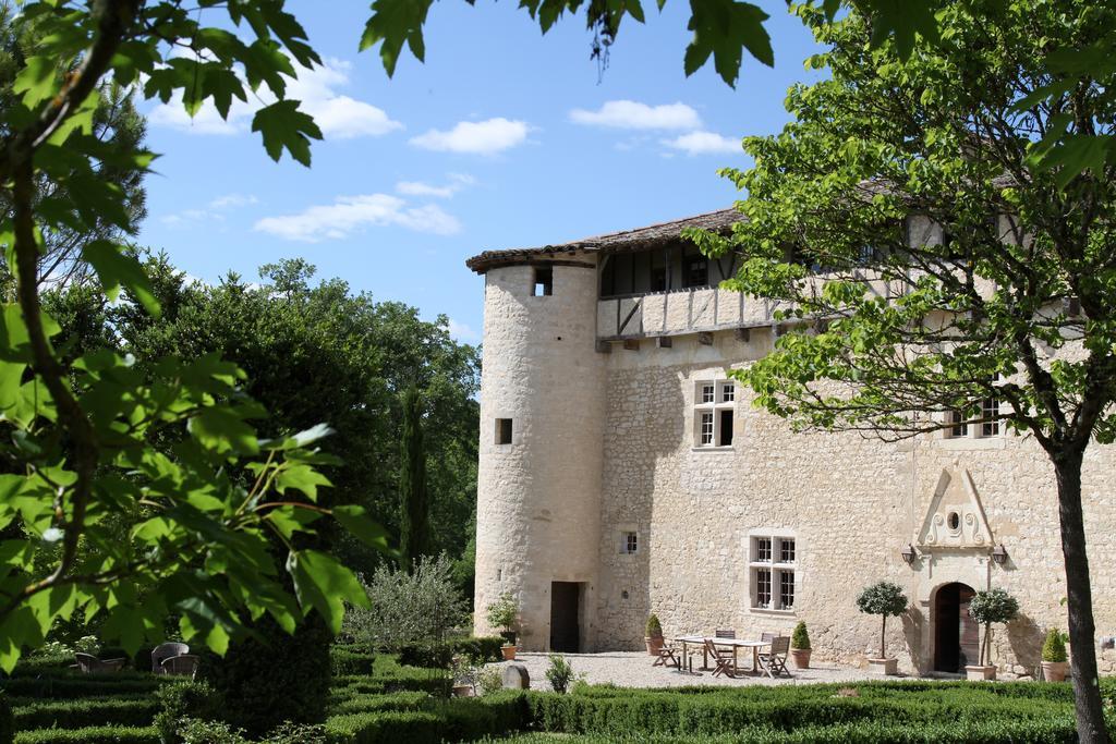Chateau De Mayragues Castelnau-de-Montmiral المظهر الخارجي الصورة