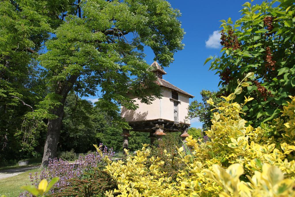 Chateau De Mayragues Castelnau-de-Montmiral المظهر الخارجي الصورة