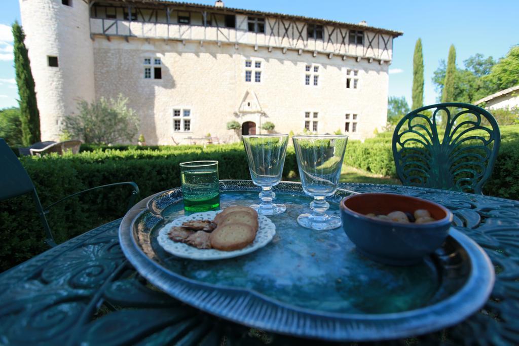 Chateau De Mayragues Castelnau-de-Montmiral المظهر الخارجي الصورة
