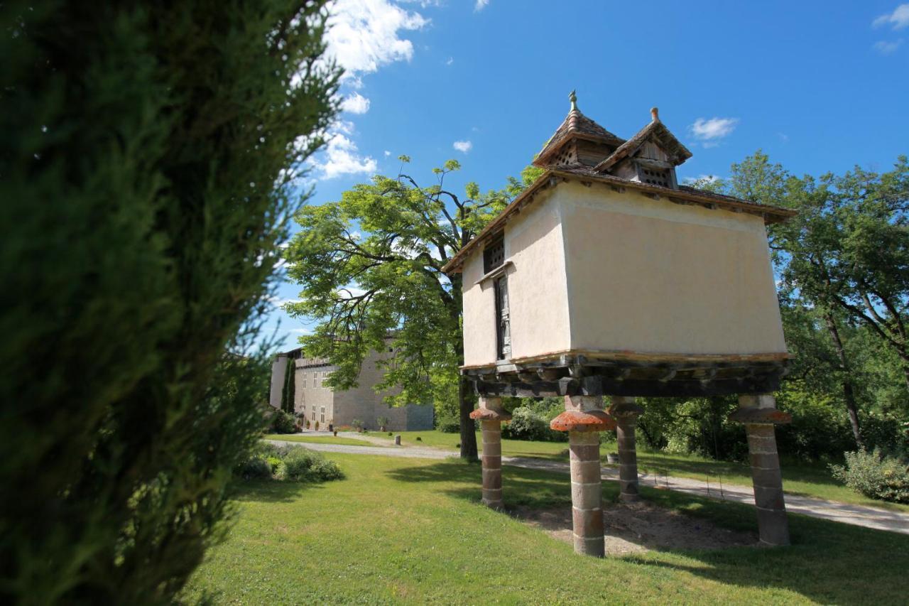 Chateau De Mayragues Castelnau-de-Montmiral المظهر الخارجي الصورة